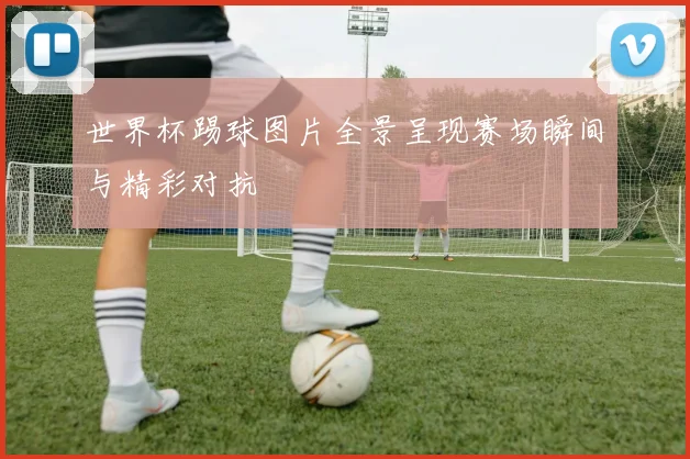 世界杯踢球图片全景呈现赛场瞬间与精彩对抗