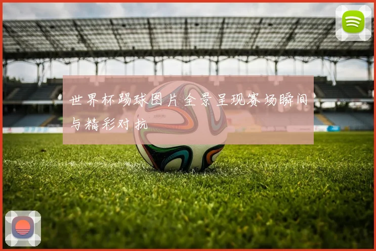 世界杯踢球图片全景呈现赛场瞬间与精彩对抗